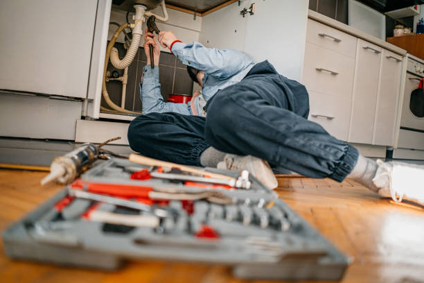 Best Clogged Drain Plumber  in Mosinee, WI