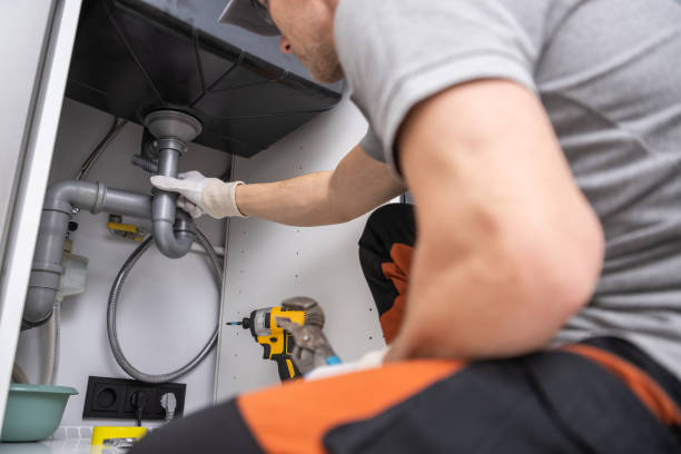 Best Local Plumber Services  in Mosinee, WI